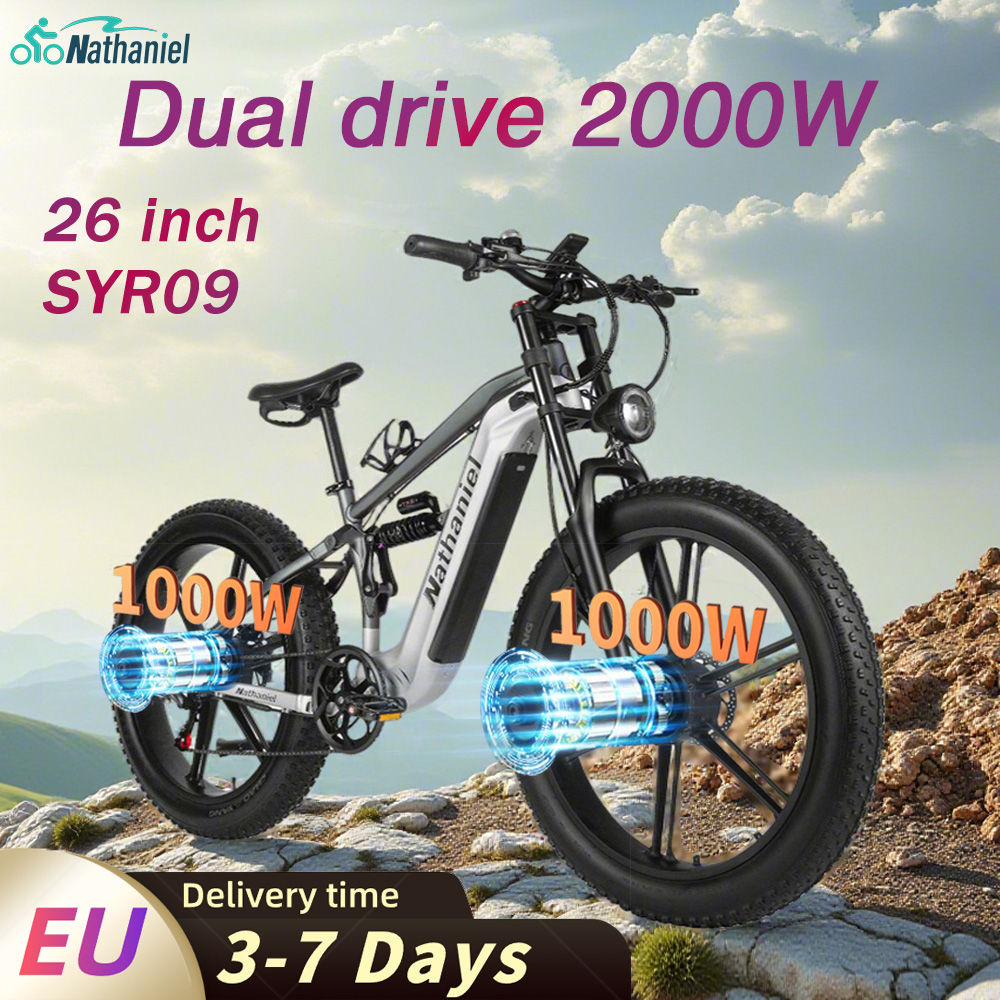 Nathaniel SYR09 Electric Bike  - Dual Motor Ebike Kit 2000W 评论和价格