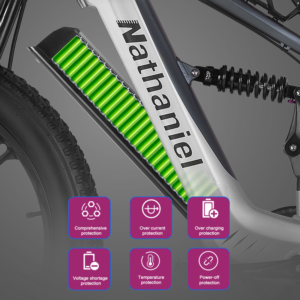 Nathaniel SYR09 Electric Bike  - Dual Motor Ebike Kit 2000W 评论和价格