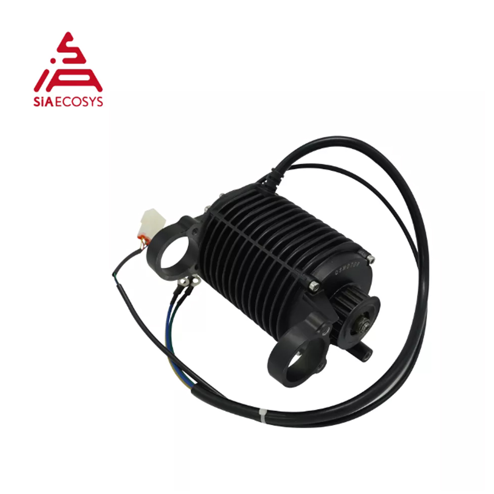 QSMOTOR 1000W Mid Drive Motor  - Mid Drive Conversion Kit 1000W 评论和价格